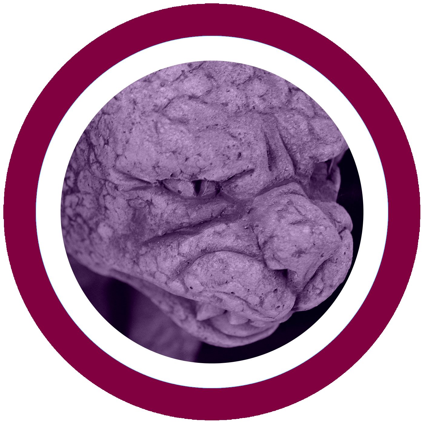 Die Literaturveranda